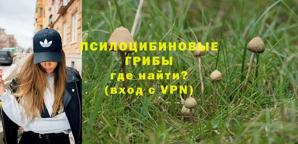 дурь Краснослободск