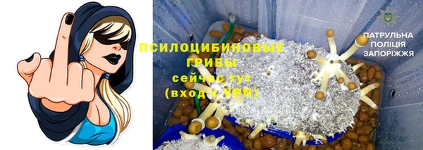 эйфоретик Белоозёрский