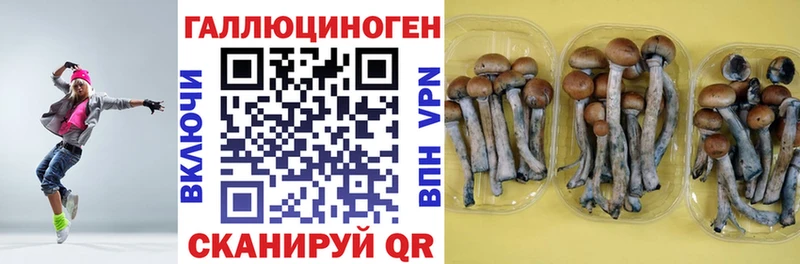 ссылка на мегу онион  магазин продажи наркотиков  Добрянка  даркнет наркотические препараты  Псилоцибиновые грибы Psilocybe 